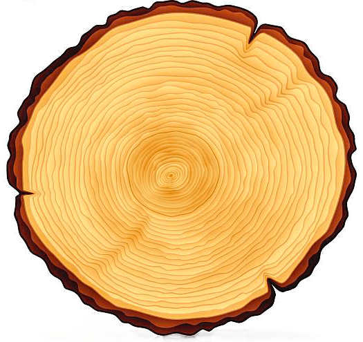 Wood coin
